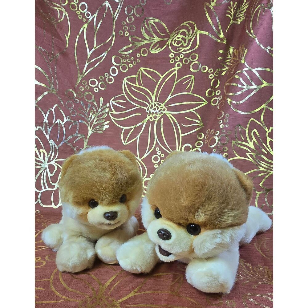 Two Gund Boo, "The World's Cutest Dog" Pomeranian dog